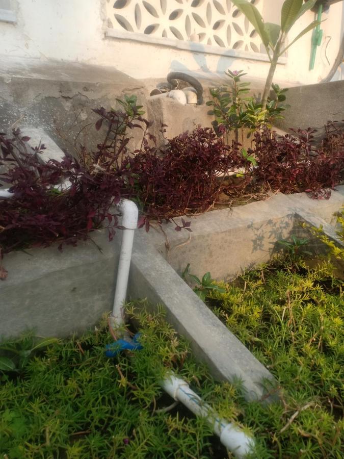 Hn Palace Homestay Agra  Exterior foto